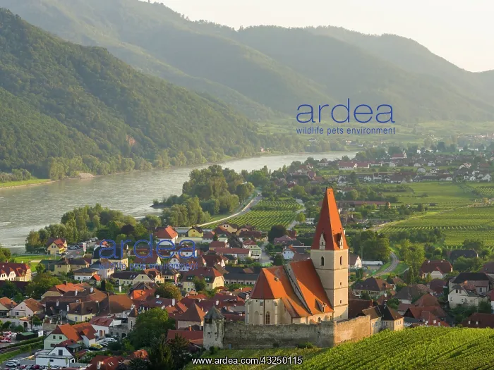 : Historic village Weissenkirchen located in wine-growing