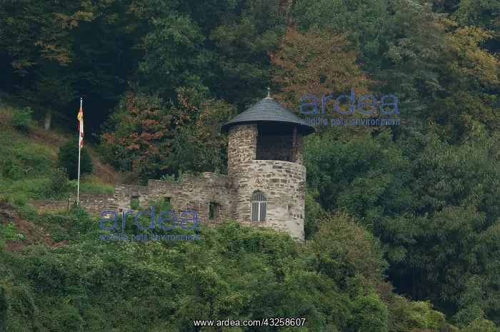  : Historic watch tower at mile marker 634