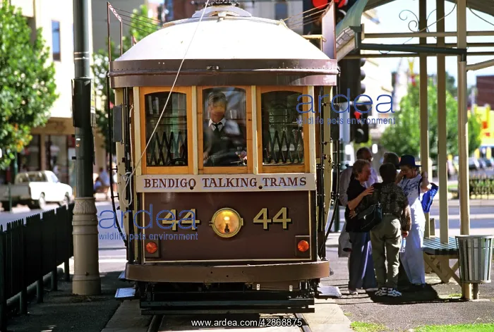 : Historical tramway with Pall Mall Street Bendigo : Historical tramway with Pall Mall Street Bendigo