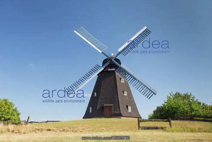 : Historical windmill named Paula - Germany : Historical windmill named Paula - Germany