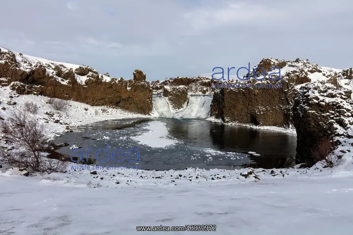 : Hj&, x1b30;arfoss waterfall in the highlands, Iceland : Hj&, x1b30;arfoss waterfall in the highlands, Iceland