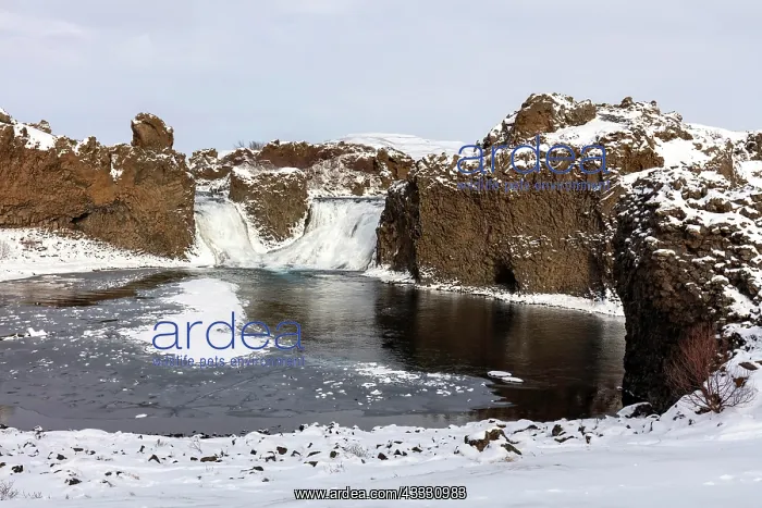 : Hj&, x1b30;arfoss Waterfall, South Iceland, Iceland : Hj&, x1b30;arfoss Waterfall, South Iceland, Iceland