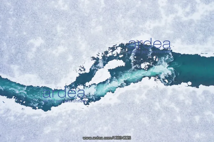 : Hlauptungufoss : Hlauptungufoss