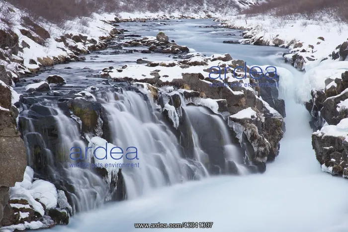 : Hlauptungufoss Waterfall winter : Hlauptungufoss Waterfall winter