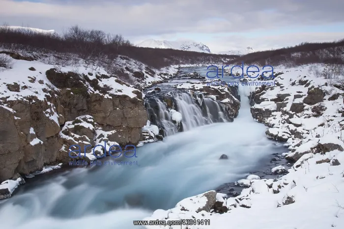 : Hlauptungufoss Waterfall winter : Hlauptungufoss Waterfall winter
