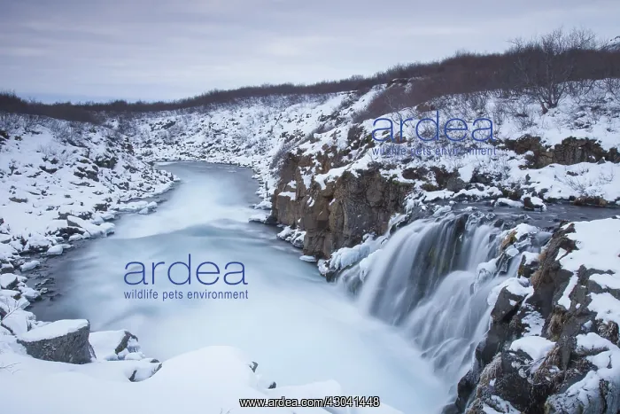 : Hlauptungufoss Waterfall winter : Hlauptungufoss Waterfall winter