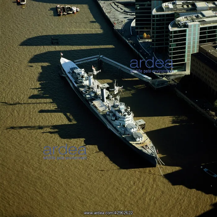 : HMS Belfast, a Royal Navy's Town-class cruiser : HMS Belfast, a Royal Navy's Town-class cruiser