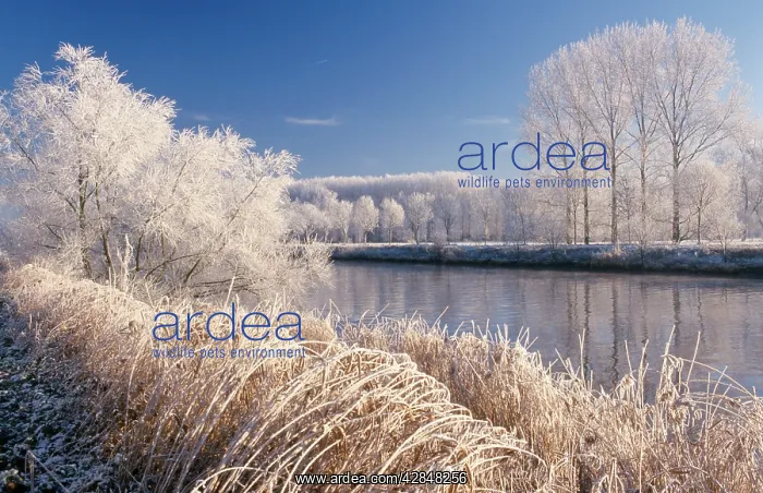  : Hoar-Frost covering plants and trees by river