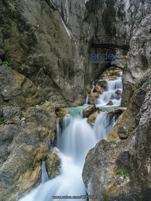 : Hoellentalklamm gorge near Garmisch-Partenkirchen : Hoellentalklamm gorge near Garmisch-Partenkirchen
