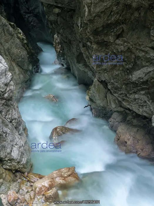 : Hoellentalklamm gorge near Garmisch-Partenkirchen : Hoellentalklamm gorge near Garmisch-Partenkirchen