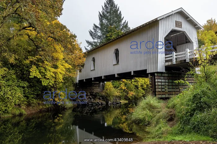 : Hoffman Covered Bridge spans Crabtree Creek in Linn : Hoffman Covered Bridge spans Crabtree Creek in Linn