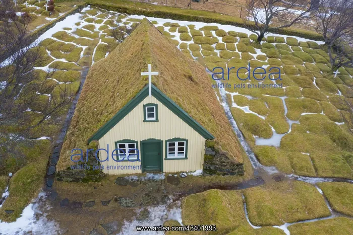 : Hofskirkja with grass covered church -, Sudurland : Hofskirkja with grass covered church -, Sudurland