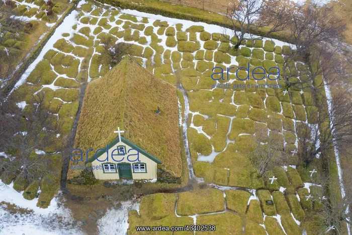 : Hofskirkja with grass covered church -, Sudurland : Hofskirkja with grass covered church -, Sudurland