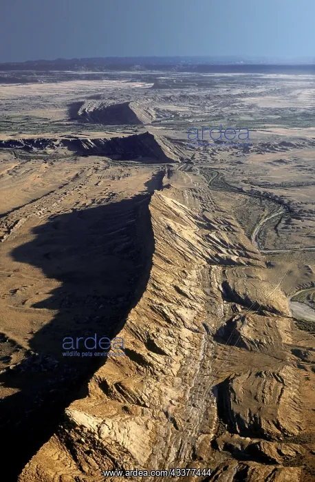 : Hogback Ridge, Colorado Plateau, near Farmington : Hogback Ridge, Colorado Plateau, near Farmington