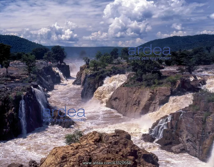 : Hogenakkal water Falls, Tamil Nadu, India, Asia : Hogenakkal water Falls, Tamil Nadu, India, Asia