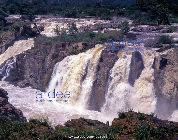 : Hogenakkal water Falls, Tamil Nadu, India, Asia : Hogenakkal water Falls, Tamil Nadu, India, Asia