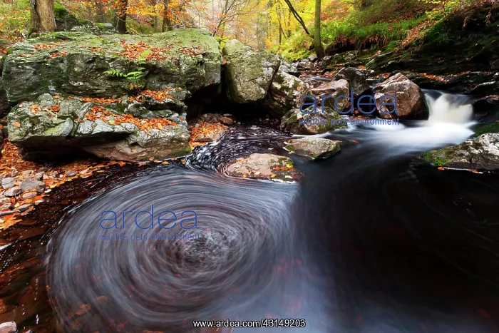 : Ho?gne river in autumn : Ho?gne river in autumn