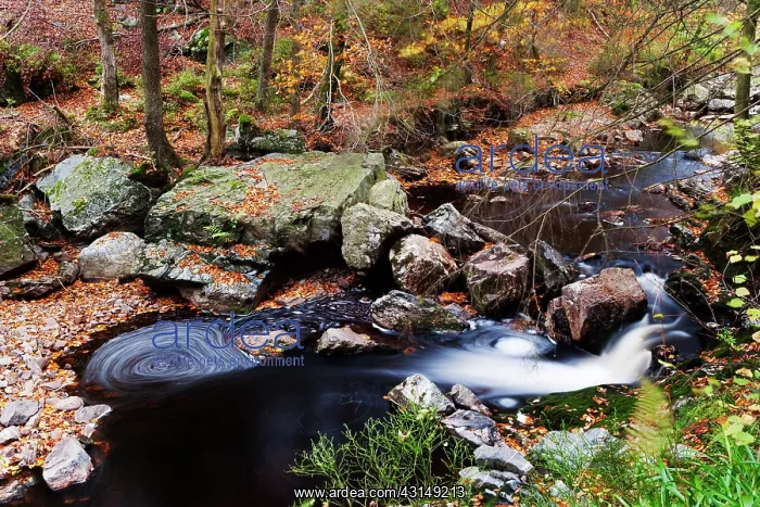  : Ho?gne river in autumn