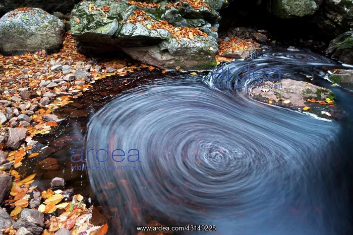 : Ho?gne river in autumn : Ho?gne river in autumn