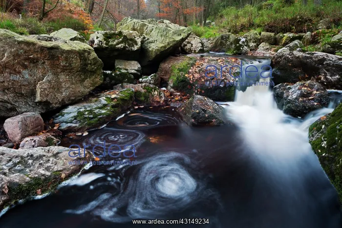 : Ho?gne river in autumn : Ho?gne river in autumn