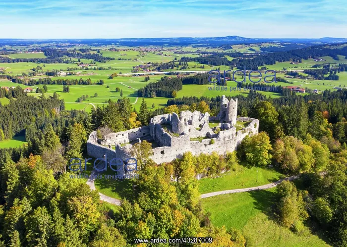 : Hohenfreyberg castle ruin, near Eisenberg, aerial : Hohenfreyberg castle ruin, near Eisenberg, aerial