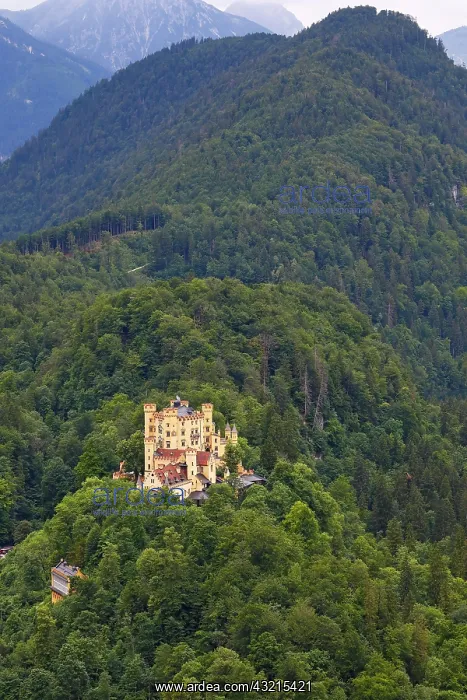 : Hohenschwangau Castle, Ammergebirge, Schwangau : Hohenschwangau Castle, Ammergebirge, Schwangau