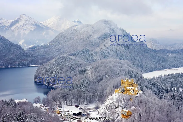 : Hohenschwangau Castle in the Bavarian Mountains : Hohenschwangau Castle in the Bavarian Mountains