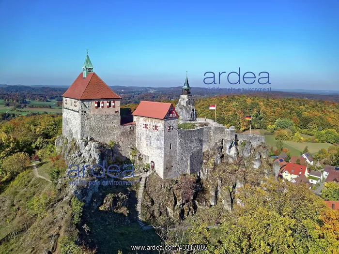: Hohenstein Castle, drone shot, Franconian Alb, Hersbruck : Hohenstein Castle, drone shot, Franconian Alb, Hersbruck