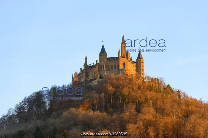 : Hohenzollern Castle in autumn, Bisingen, Zollernalbkreis : Hohenzollern Castle in autumn, Bisingen, Zollernalbkreis