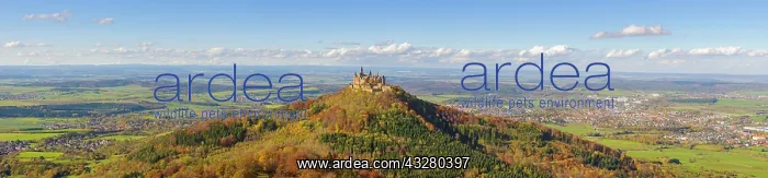 : Hohenzollern Castle in autumn, panorama, Swabian : Hohenzollern Castle in autumn, panorama, Swabian