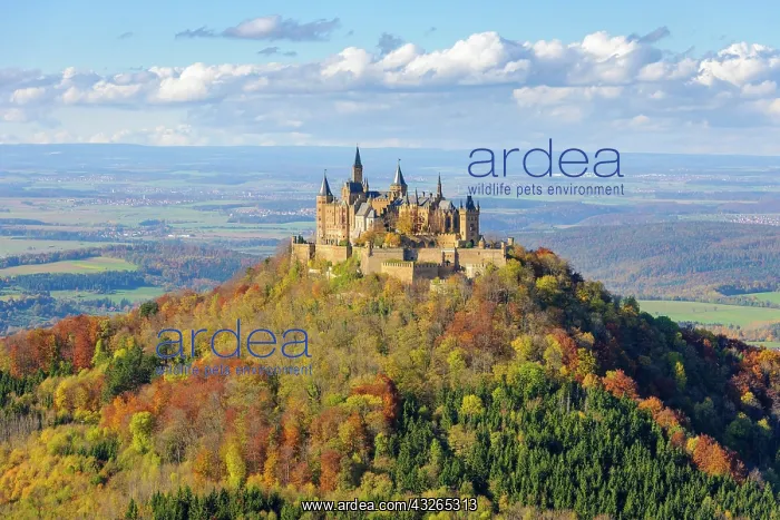 : Hohenzollern Castle in autumn, Swabian Alb, Baden-W&, x32d349 : Hohenzollern Castle in autumn, Swabian Alb, Baden-W&, x32d349
