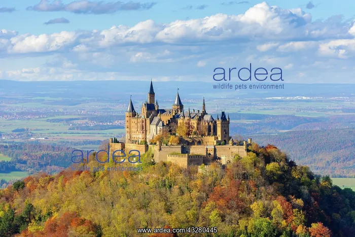 : Hohenzollern Castle in autumn, Swabian Alb, Baden-W&, x32d349 : Hohenzollern Castle in autumn, Swabian Alb, Baden-W&, x32d349