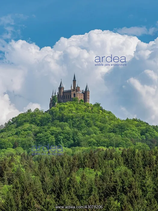 : Hohenzollern Castle, Bisingen, Zollernalbkreis : Hohenzollern Castle, Bisingen, Zollernalbkreis