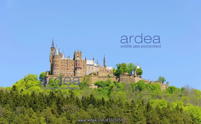 : Hohenzollern Castle, Swabian Alps, Baden-W&, x32d3496d;berg : Hohenzollern Castle, Swabian Alps, Baden-W&, x32d3496d;berg