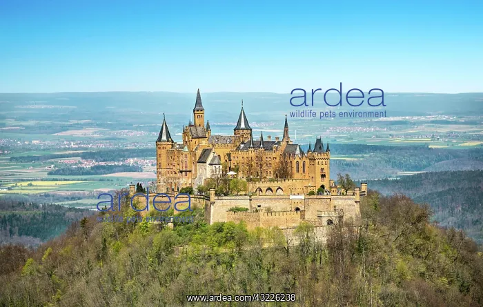 : Hohenzollern Castle, Zollernalbkreis, Swabian Jura : Hohenzollern Castle, Zollernalbkreis, Swabian Jura