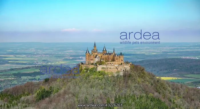 : Hohenzollern Castle, Zollernalbkreis, Swabian Jura : Hohenzollern Castle, Zollernalbkreis, Swabian Jura