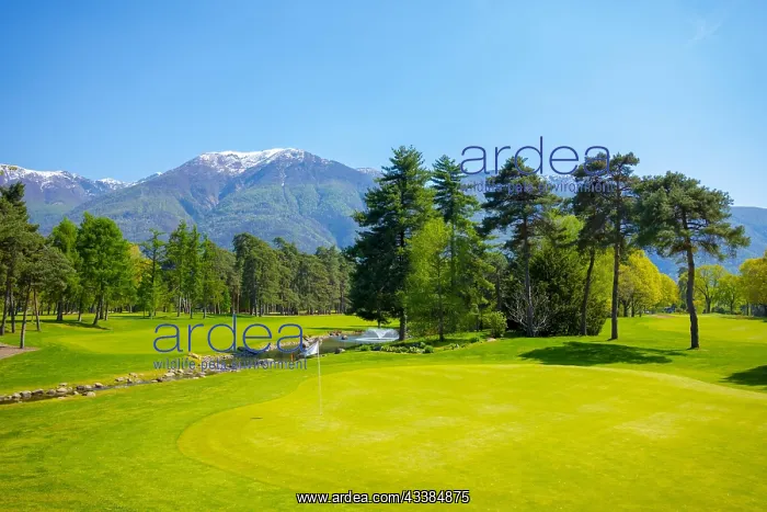 : Hole 8 in Golf Club Ascona with Trees and Mountain : Hole 8 in Golf Club Ascona with Trees and Mountain