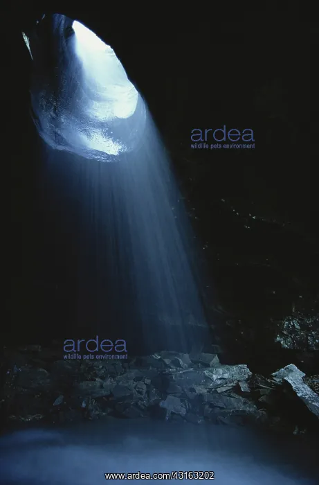 : Hole in the Rock, Arkansas : Hole in the Rock, Arkansas