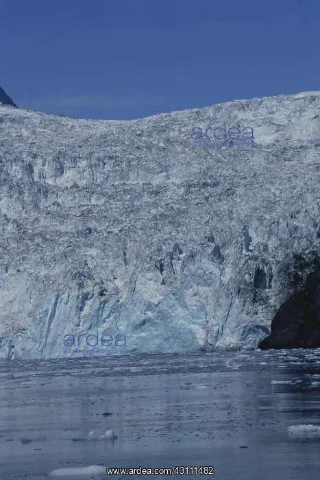 : Holgate Glacier : Holgate Glacier