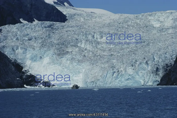 : Holgate Glacier : Holgate Glacier