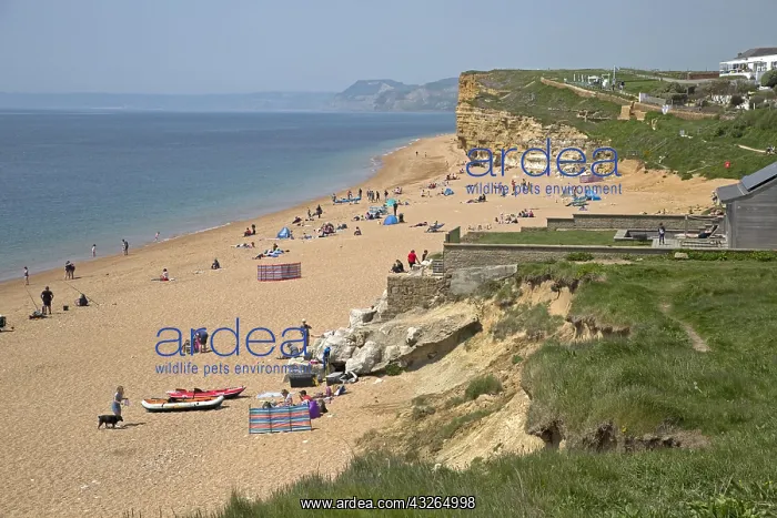 : Holiday makers enjoying sunshine on Hive Beach : Holiday makers enjoying sunshine on Hive Beach
