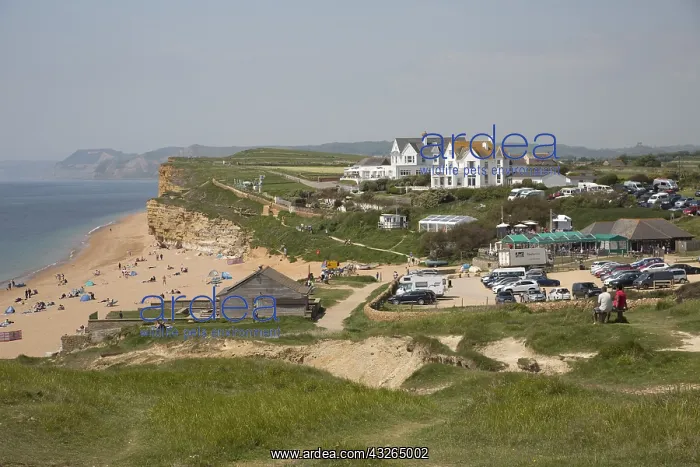 : Holiday makers enjoying sunshine on Hive Beach : Holiday makers enjoying sunshine on Hive Beach