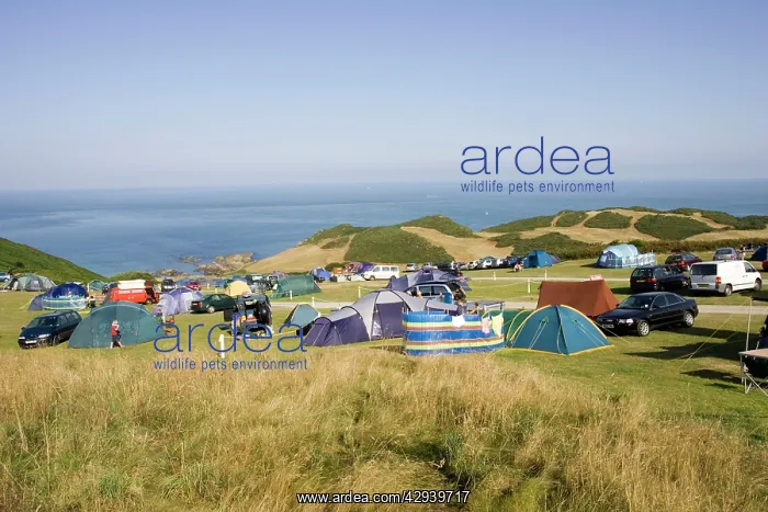 : Holiday tents and cars on sloping fields on cliffs : Holiday tents and cars on sloping fields on cliffs