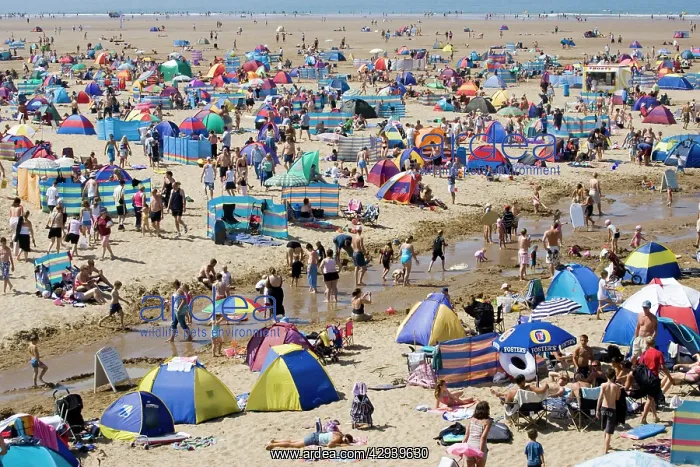 : Holidaymakers with tents, umbrellas and windbreaks : Holidaymakers with tents, umbrellas and windbreaks