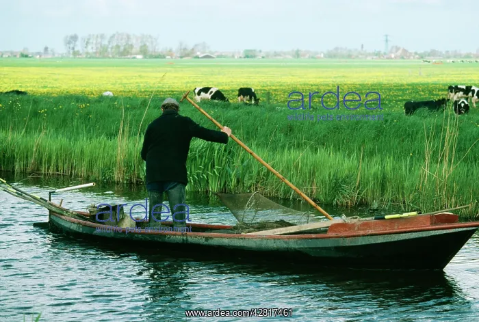  : HOLLAND - canal and boat