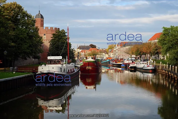 : Holland, Zwolle. Pancake ship with several : Holland, Zwolle. Pancake ship with several