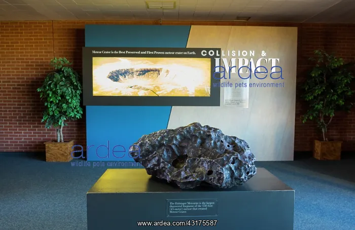 : Holsinger meteorite. Meteor Crater is a meteorite : Holsinger meteorite. Meteor Crater is a meteorite
