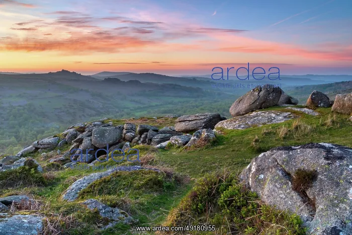 : Holwell Tor - Dartmoor - Devon - UK : Holwell Tor - Dartmoor - Devon - UK