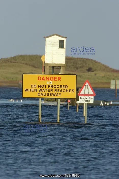: Holy Island causeway - at high tide, showing refuge station : Holy Island causeway - at high tide, showing refuge station