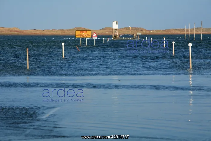 : Holy Island Causeway - at high tide : Holy Island Causeway - at high tide